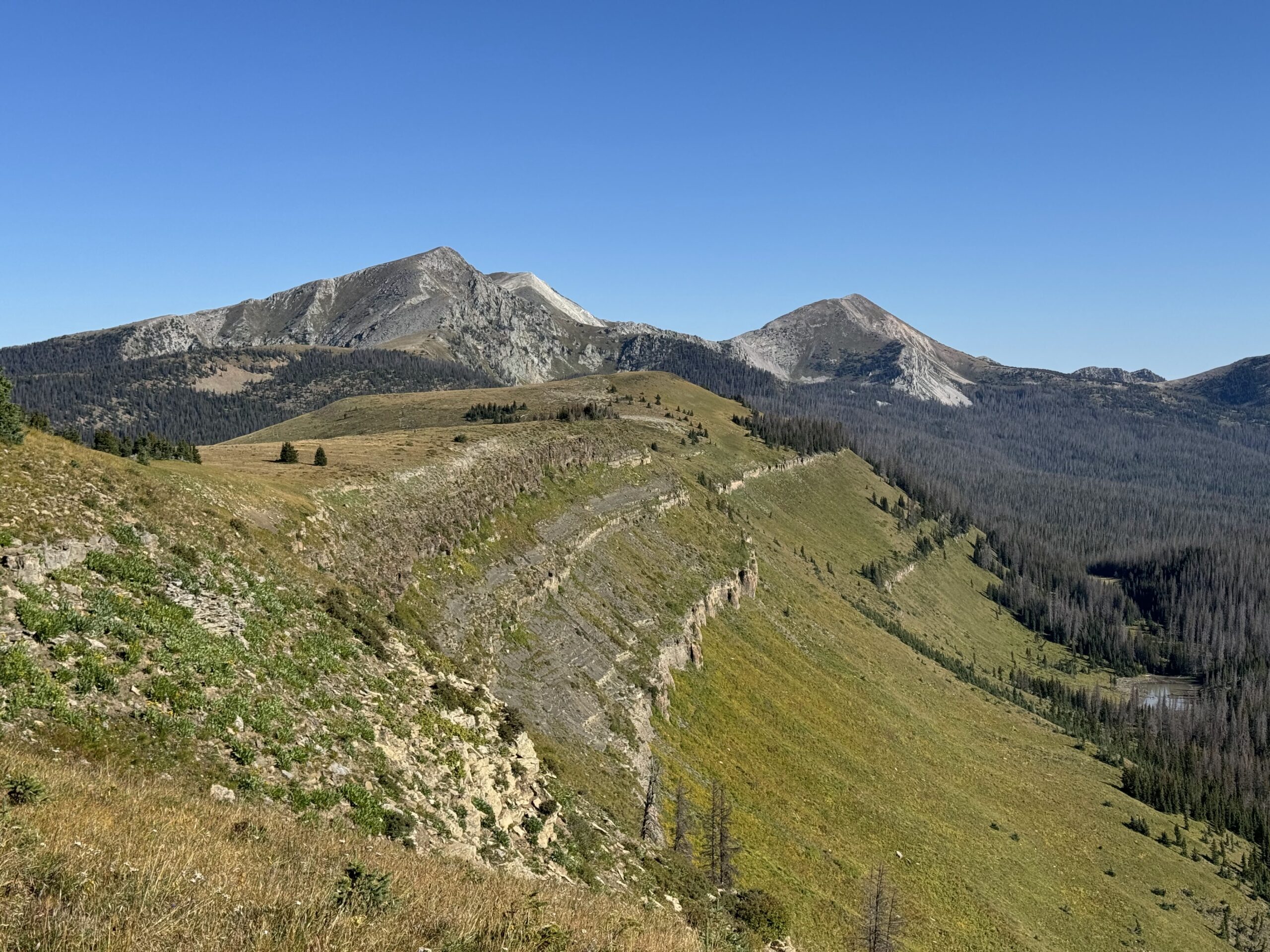 Announcing Move Forward: Save Scouting